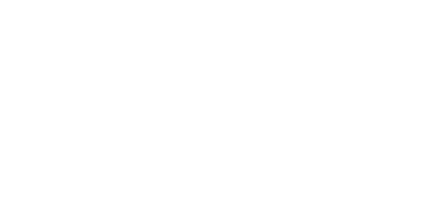 Logo van logistieke dienstverlener Trans Experts